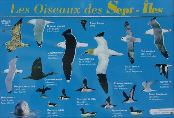 7iles1.JPG