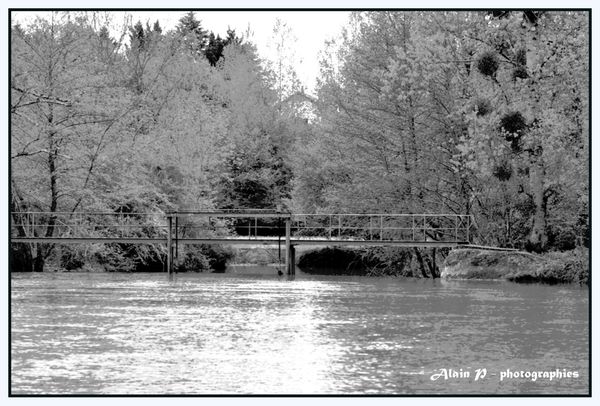 Noir-et-blanc 0049
