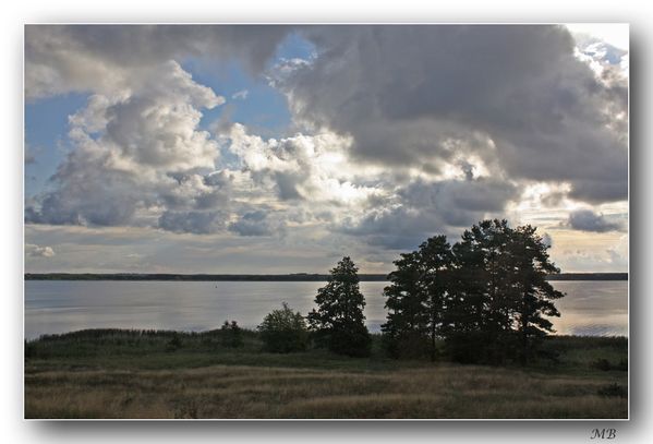 Nature 2426a