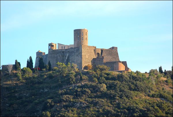 collioure--10-.JPG