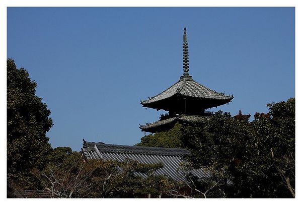 temple Ninna-ji (5)