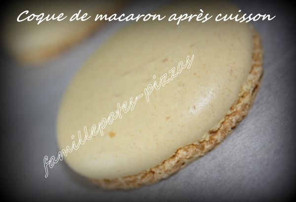 macarons citron-basilic 5