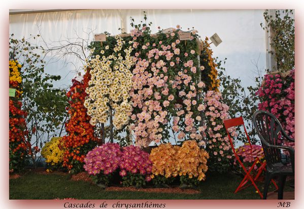 Fleurs & jardin 5274