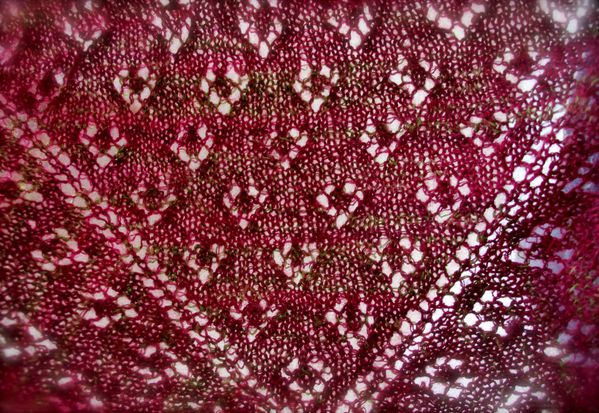 Tricot-bis-4570.JPG