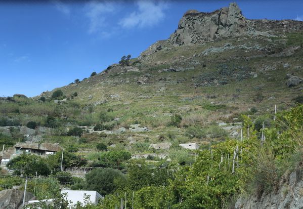 LA0A3942.JPG