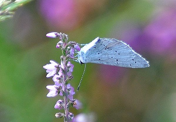B12-3665.JPG