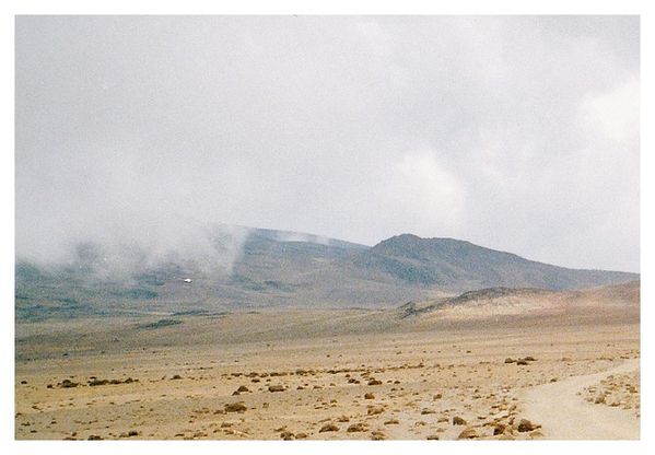 kilimandjaro 24 bis