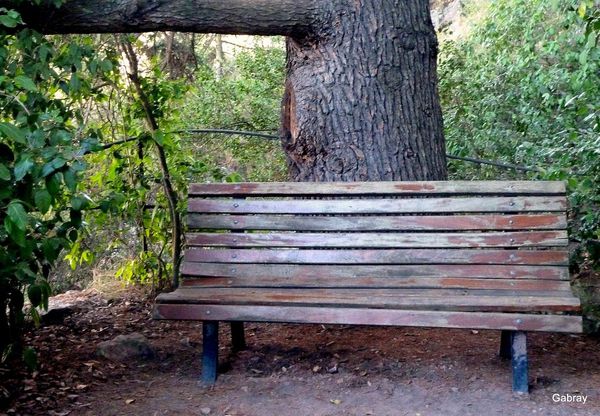 O12 - Un banc