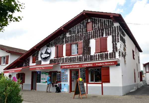 C16-4683-copie-1.JPG