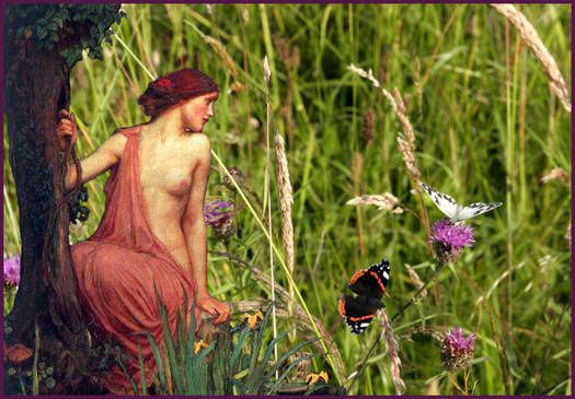 _chasse_papill070624.1182706180.thumbnail.jpg