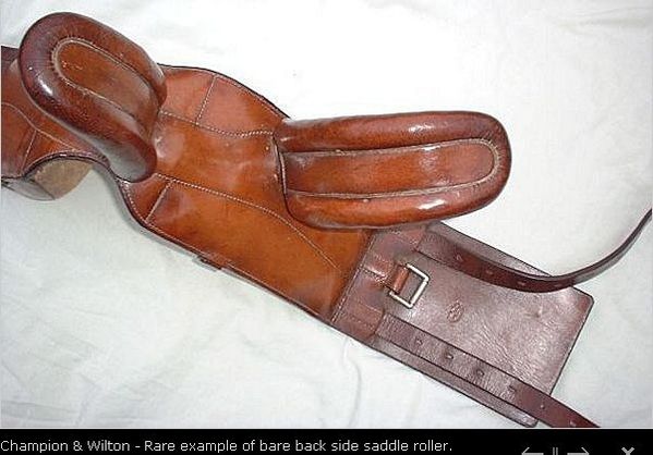 champion-wilton-surfaix-amazone.jpg