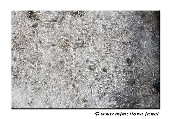 Dossier-4-9526-copiedsite.jpg