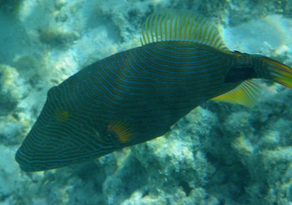 IMGP0762