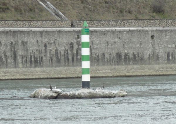 DSC04587