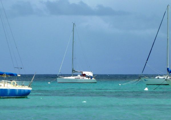 P1000511-lagon-saint-francois---Guadeloupe.jpg