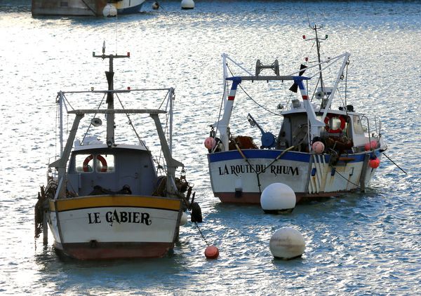 LA0A8532.JPG
