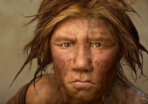 neandertal-femme-Wilma.jpg