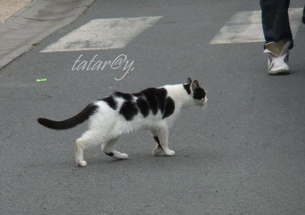 DSCF8632R.JPG