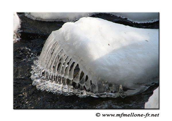 Dossier-4-9683-copiedsite.jpg