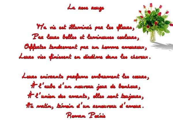 la-rose-rouge-poeme.JPG