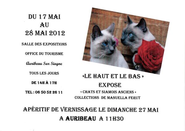 affiche Chats -