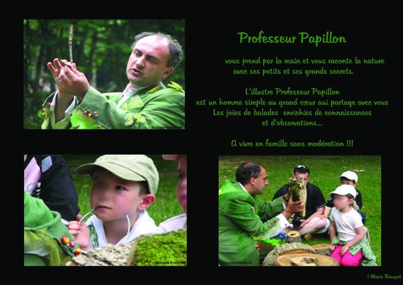papillon-mail.jpg
