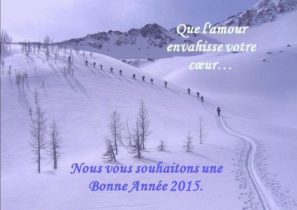 Voeux-2015.jpg