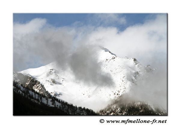 Dossier-4-1695-copiedsite.jpg