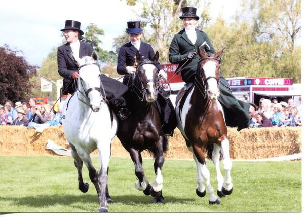 demonstration-equitation-en-amazone.jpg