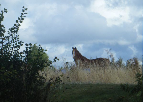 DSCF5258.JPG