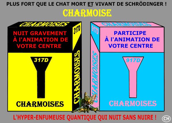 Les Charmoises de Schrödinger