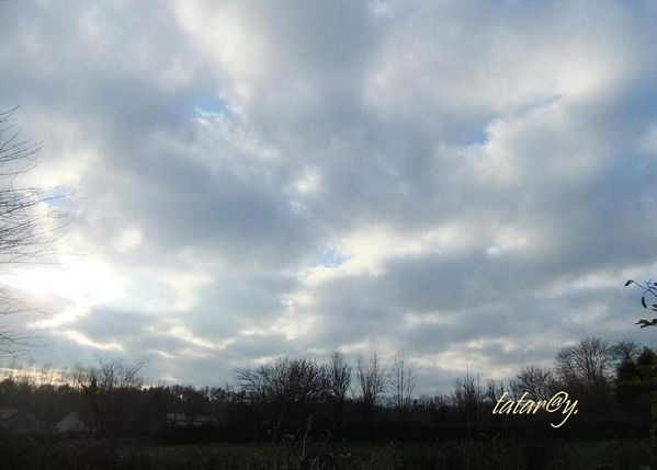 DSCF1821R