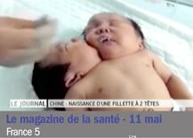 insolite visu