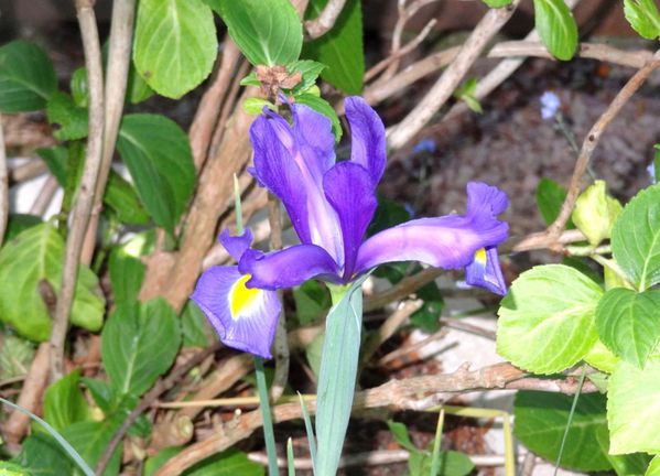 DSC08938.JPG