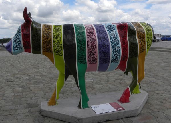 cow44