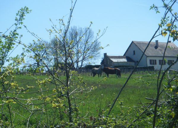 DSCF8973.JPG
