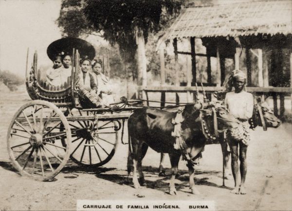 Copia di 191 - Carruaje Burma