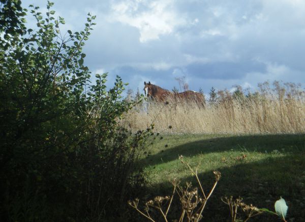 DSCF5262.JPG