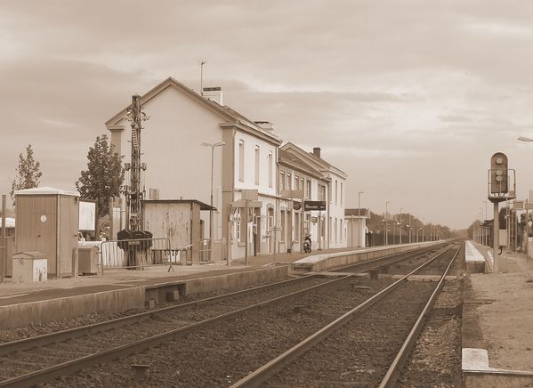 train10.JPG
