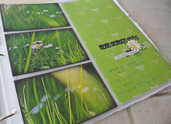 Sujets-herbe.jpg
