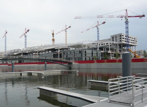 Grues de la confluence © Bernard Moutin 2010 0001