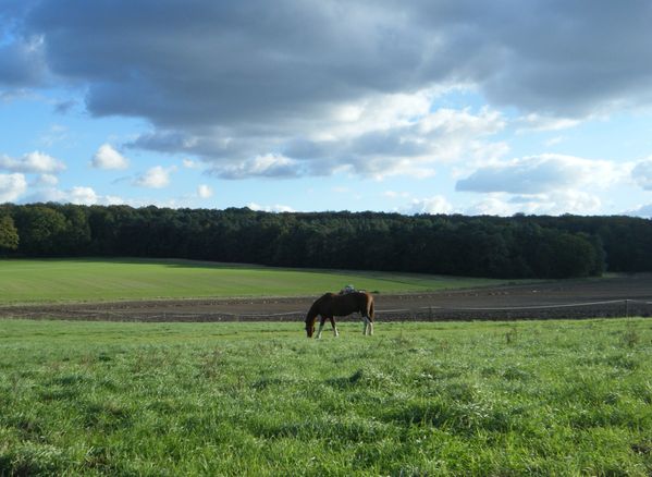 DSCF5728.JPG