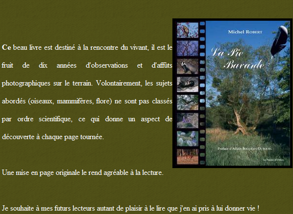 Capture-la-pie-bavarde.PNG