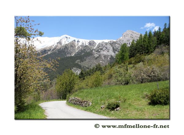 Dossier-4-4308-copiedsite.jpg