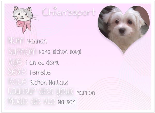 chienssport-Hannah.jpg