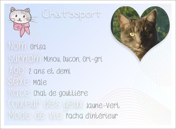 Chatssport-Grisa.jpg