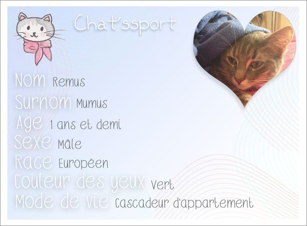 Chatssport-Remus.jpg
