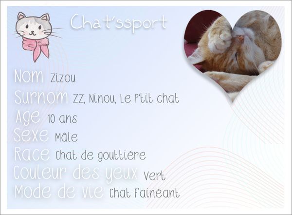 Chatssport Zizou