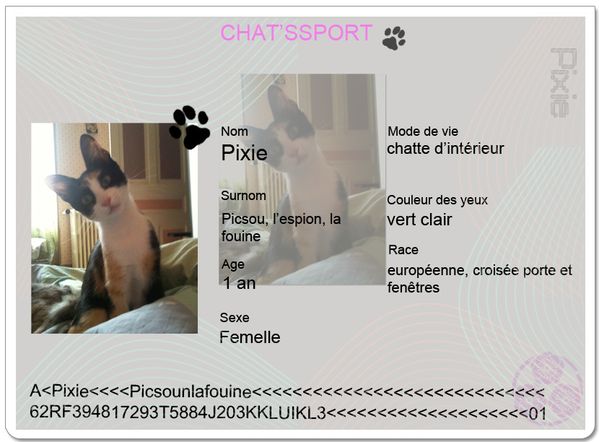Chatssport---pixie.JPG
