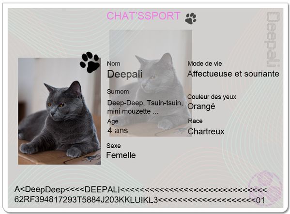 chatsport Deepali
